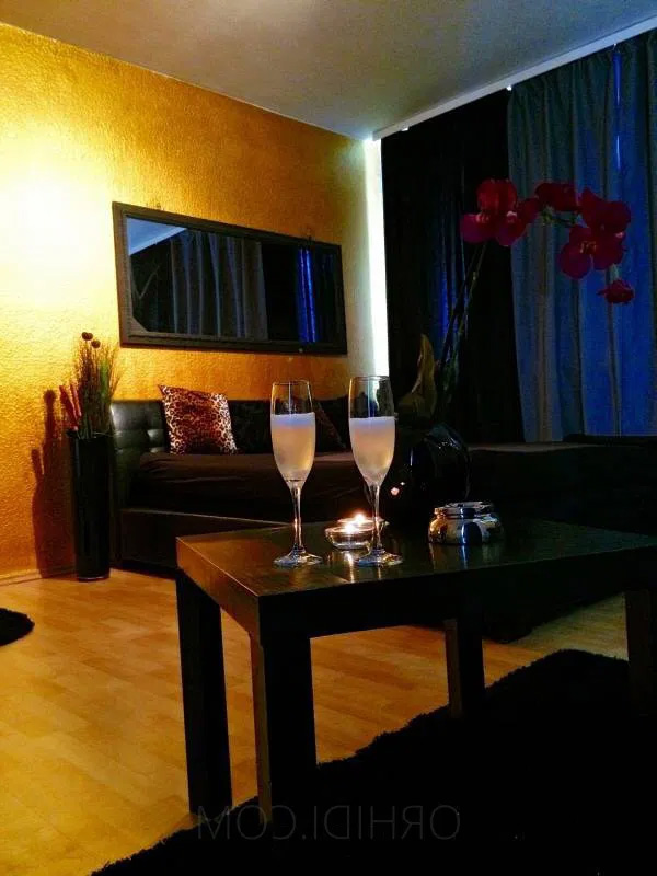 where to meet dubai escorts